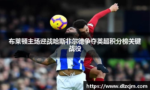 布莱顿主场迎战哈斯非尔德争夺英超积分榜关键战役